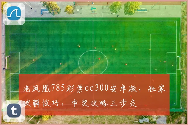 老凤凰785彩票cc300安卓版，独家破解技巧，中奖攻略三步走
