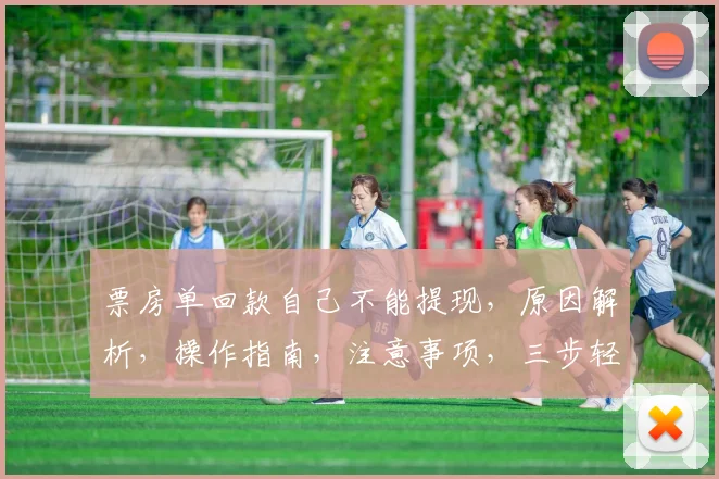 票房单回款自己不能提现，原因解析，操作指南，注意事项，三步轻松解决